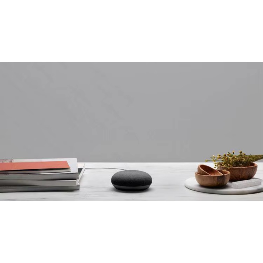 Для Google Nest Hub Max и Nest – обзор и цена Google Speaker Nest Hub